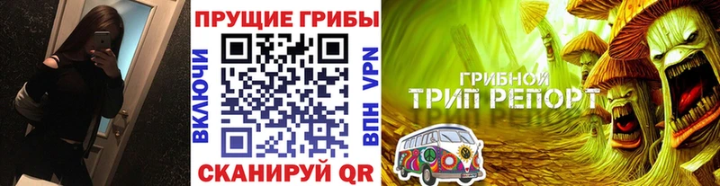 Псилоцибиновые грибы мухоморы  Подпорожье 